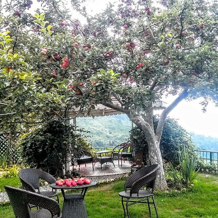 The Swiss Village Resort Nainital Exteriér fotografie