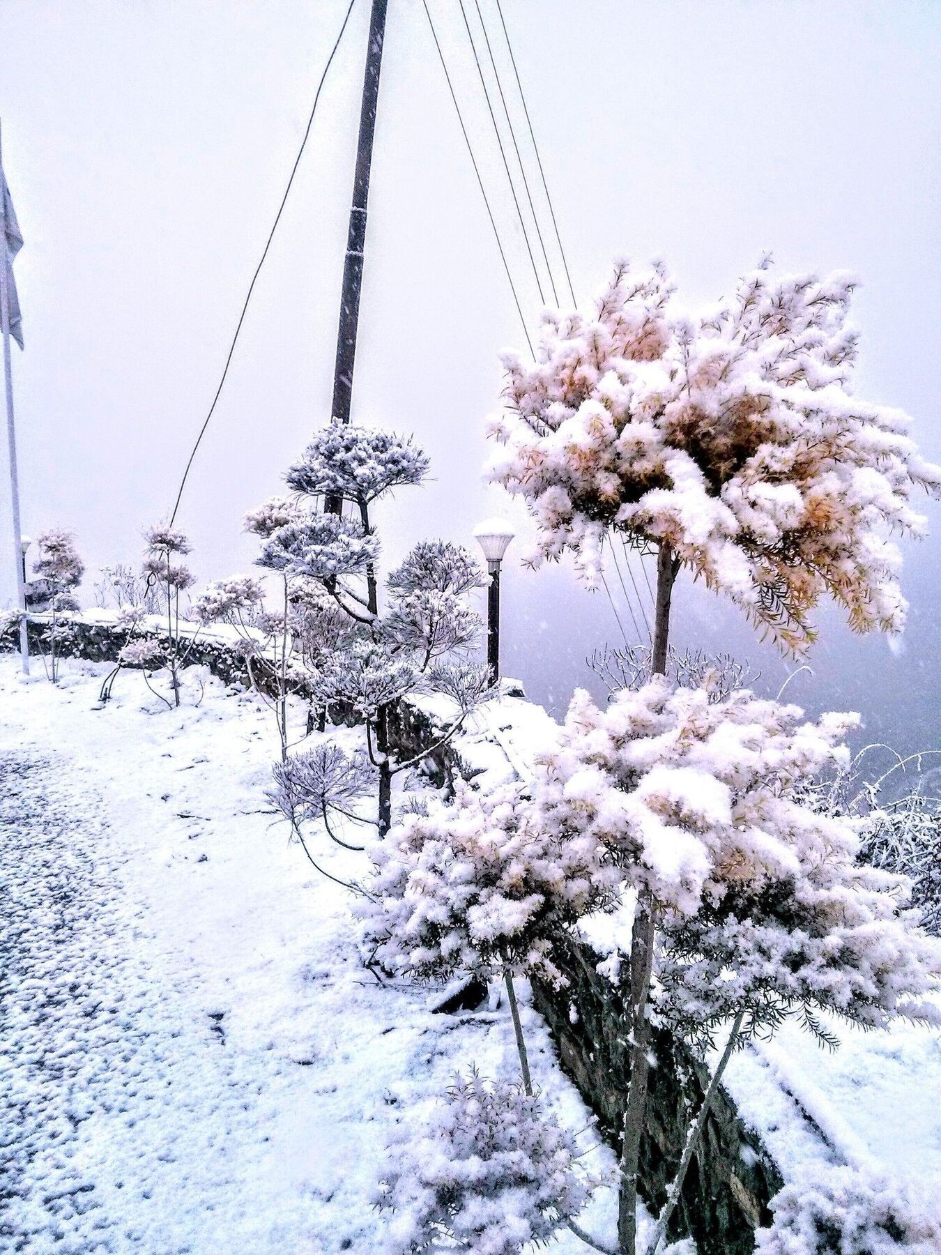 The Swiss Village Resort Nainital Exteriér fotografie